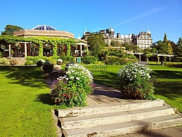 英格蘭,建設(shè),鮮花