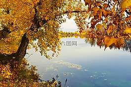 河,自然,景觀