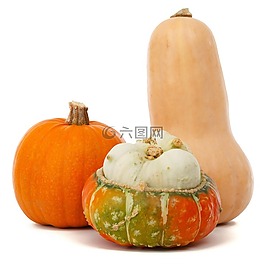 秋,秋天,食品