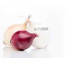 洋蔥,蔬菜,食品