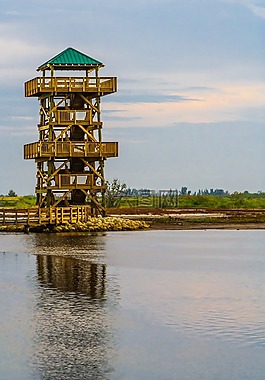 塔,日落,池