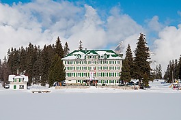 酒店 seebenalp,雪,樹