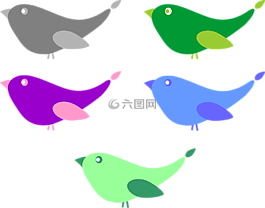 鳥類,鳥,性質(zhì)