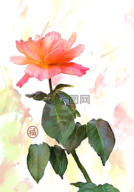 玫瑰,浪漫,数字油