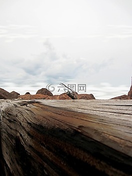 自然,景觀,山