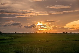 自然,天空,綠色