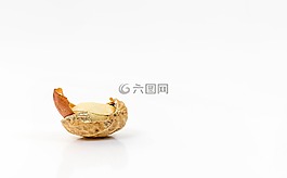 花生,坚果,烤