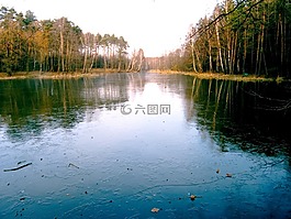 池塘,视图,水