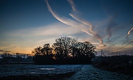 sillhouette,樹,云