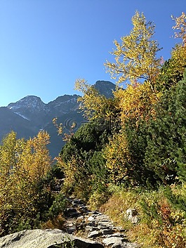 冬奧會(huì),山,秋