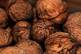 螺母,食品,核桃