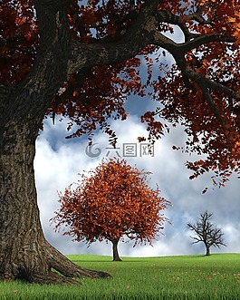 秋季,10 月,金色的秋天