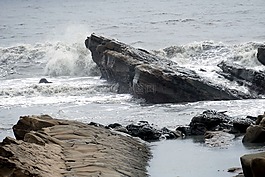 海,海岸,巖