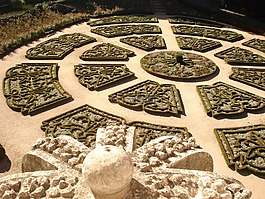 花園,花,性質(zhì)
