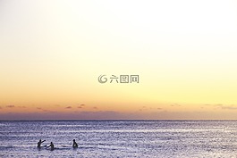 自然,水,海洋