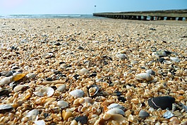 海,海灘,碼頭