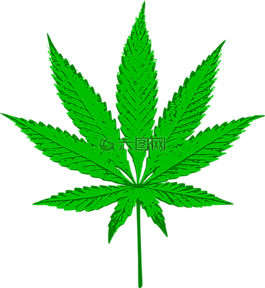 大麻,水稻,草