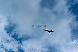 藍色的天空,云,天氣