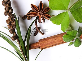 秋,秋天,三葉草