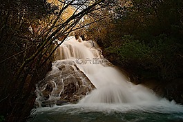 河,水,森林