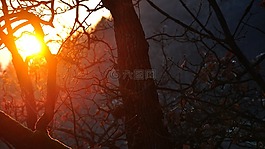 日落,夜燈,黃昏