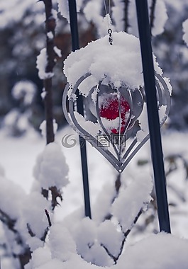 雪,冬天,冷