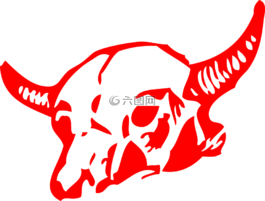 頭骨,公牛,牛