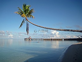 wakatobi,蘇拉威西,印度尼西亞