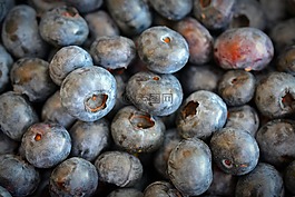 藍(lán)莓,水果,美味