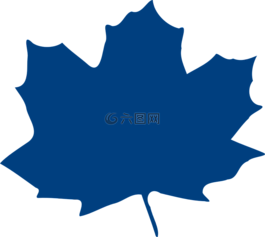 藍(lán)色,楓,葉