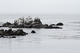 巖,水,和平