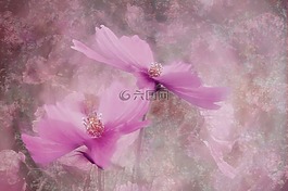 花,廠,關(guān)閉