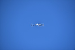 飛機,天空,白鯨