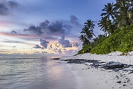 海滩,热带,海岸线