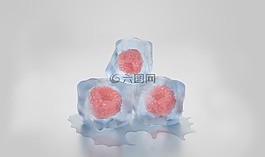 冰的多維數(shù)據(jù)集,山莓,漿果