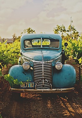 汽車,車,釀酒
