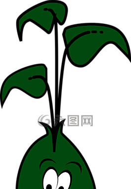 豆,萌芽,幼树