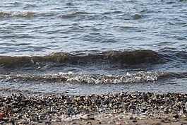 波,水,海灘