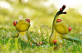 青蛙,瑜伽,草地