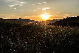 國家,日落,太陽