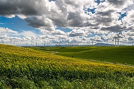 風電場,風力發(fā)電機組,電力