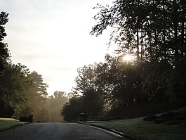 路,黎明,景觀