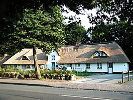 首頁,建設(shè),老