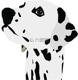 dalmatian,狗,寻找