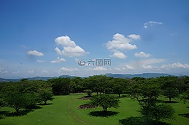森林,景觀,云