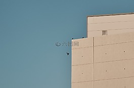 建設(shè),天空,鳥