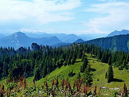 景觀,山,阿爾卑斯山