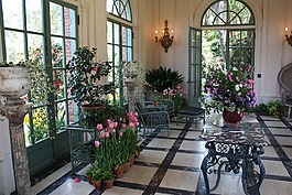 園藝,花園,花