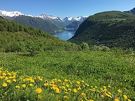 綠色的滋養,山,查看