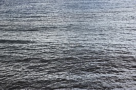 海,海洋,紋理